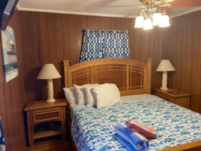 Holiday Court 17 - Sea Shell